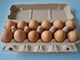 Тип машина управлением PLC роторный коробки яйца создателя коробки яйца с системой засыхания подноса яйца